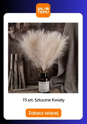 Temu - gazetka promocyjna Produkty do dekoracji wnętrz od środy 14.01  - strona 11
