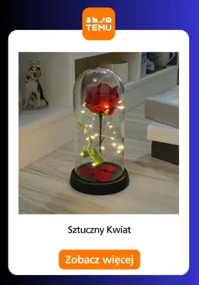 Temu - gazetka promocyjna Produkty do dekoracji wnętrz od środy 14.01  - strona 9