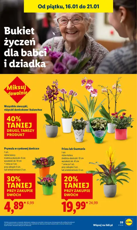 Lidl - gazetka promocyjna Oferta od czwartku od czwartku 15.01 do soboty 17.01 - strona 61