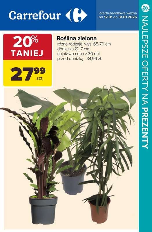 Dzień Babci i Dziadka - gazetka promocyjna Prezenty dla Babci i Dziadka - najlepsze oferty z marketów! od czwartku 15.01 do wtorku 20.01 - strona 10