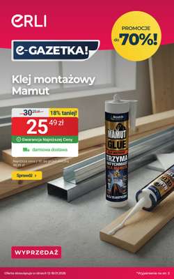 ERLI - gazetka promocyjna TOP OKAZJE w Strefie Majsterkowicza! od piątku 16.01 do niedzieli 18.01