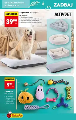 Biedronka - gazetka promocyjna Hity i inspiracje od soboty 17.01 do środy 04.02 - strona 46