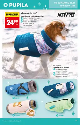 Biedronka - gazetka promocyjna Hity i inspiracje od soboty 17.01 do środy 04.02 - strona 47