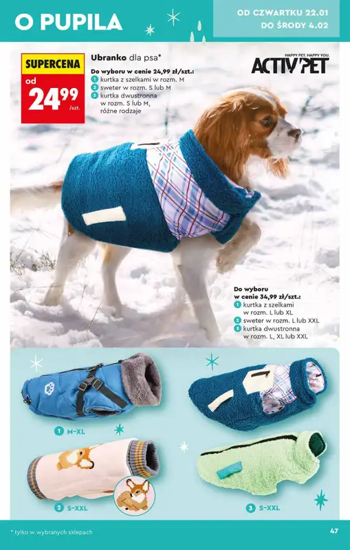 Biedronka - gazetka promocyjna Hity i inspiracje od soboty 17.01 do środy 04.02 - strona 47