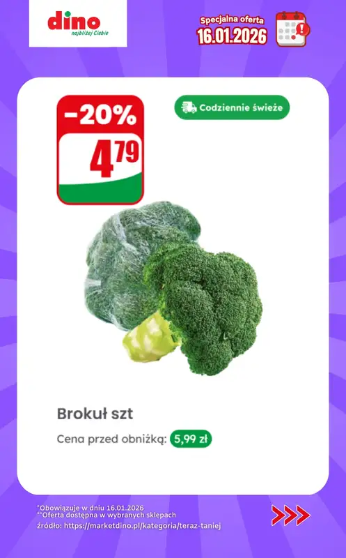 Dino - gazetka promocyjna Specjalna oferta na 16.01.2026 - promocje spoza gazetki   - strona 3