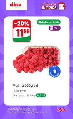 Dino - gazetka promocyjna Specjalna oferta na 16.01.2026 - promocje spoza gazetki od piątku 16.01 do piątku 16.01 - strona 2