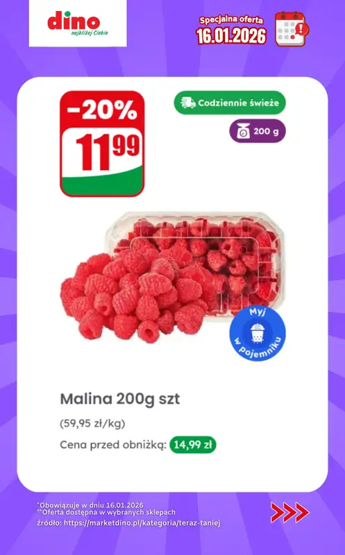 Dino - gazetka promocyjna Specjalna oferta na 16.01.2026 - promocje spoza gazetki   - strona 2