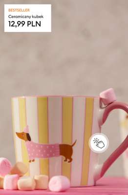 Sinsay - gazetka promocyjna HITY INTERNETU od piątku 16.01  - strona 21