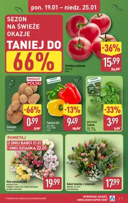Aldi - gazetka promocyjna Pełny katalog! od poniedziałku 19.01 do niedzieli 25.01 - strona 3