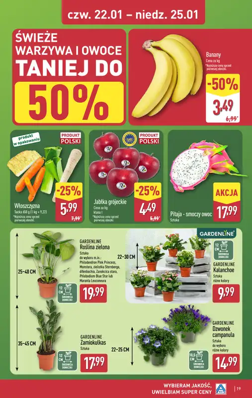 Aldi - gazetka promocyjna Pełny katalog! od poniedziałku 19.01 do niedzieli 25.01 - strona 19