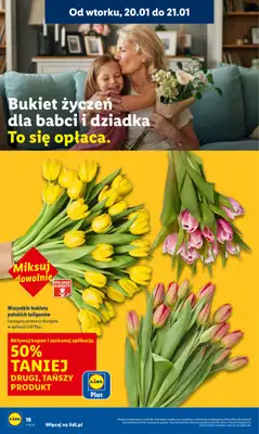 Lidl - gazetka promocyjna Oferta od poniedziałku od poniedziałku 19.01 do środy 21.01 - strona 18
