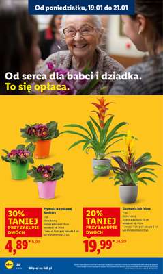 Lidl - gazetka promocyjna Oferta od poniedziałku od poniedziałku 19.01 do środy 21.01 - strona 20
