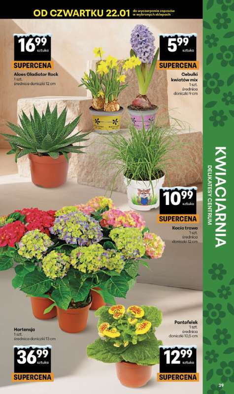 Delikatesy Centrum - gazetka promocyjna Gazetka  do środy 28.01 - strona 39