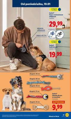 Lidl - gazetka promocyjna Katalog od poniedziałku 19.01 do niedzieli 25.01 - strona 19