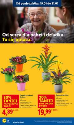 Lidl - gazetka promocyjna Oferta od poniedziałku od poniedziałku 19.01 do środy 21.01 - strona 20