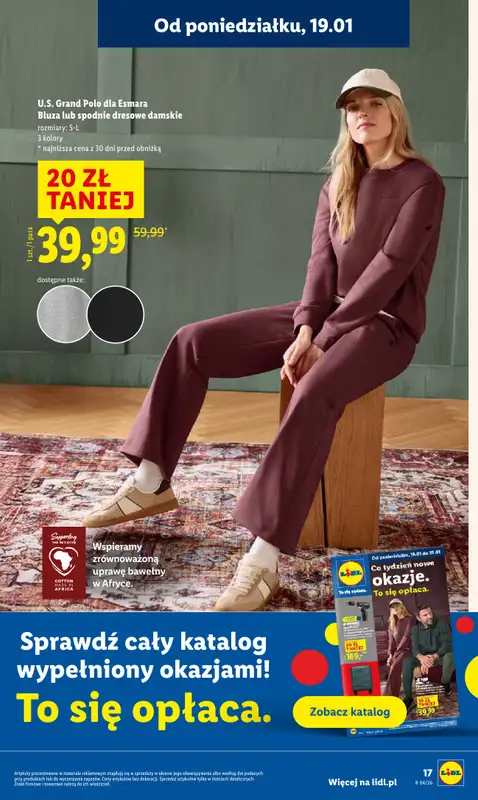 Lidl - gazetka promocyjna Oferta od poniedziałku od poniedziałku 19.01 do środy 21.01 - strona 17