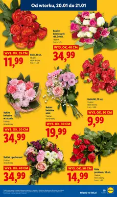 Lidl - gazetka promocyjna Oferta od poniedziałku od poniedziałku 19.01 do środy 21.01 - strona 19