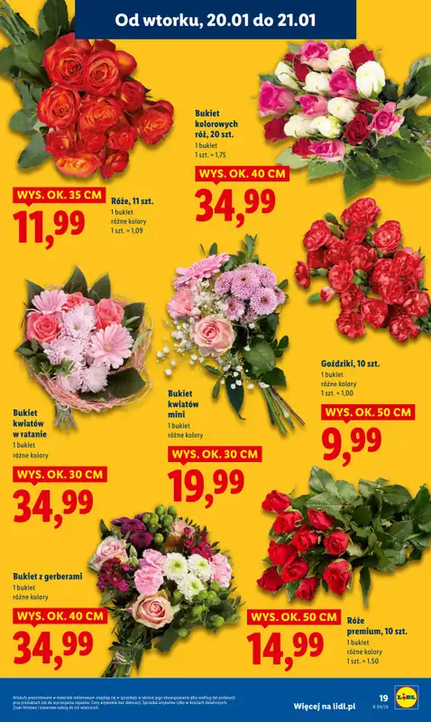 Lidl - gazetka promocyjna Oferta od poniedziałku od poniedziałku 19.01 do środy 21.01 - strona 19