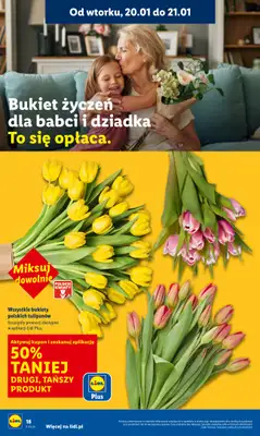 Lidl - gazetka promocyjna Oferta od poniedziałku od poniedziałku 19.01 do środy 21.01 - strona 18