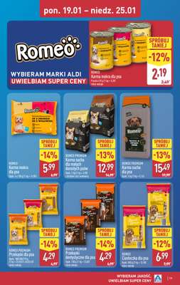 Aldi - gazetka promocyjna Pełny katalog! od poniedziałku 19.01 do niedzieli 25.01 - strona 19