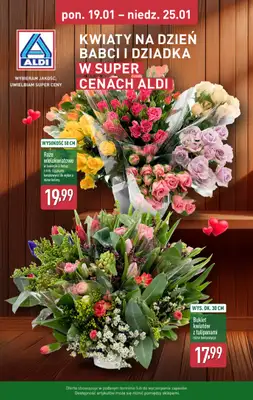 Aldi - gazetka promocyjna Pełny katalog! od poniedziałku 19.01 do niedzieli 25.01 - strona 16