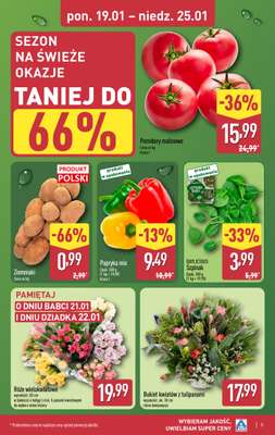 Aldi - gazetka promocyjna Pełny katalog! od poniedziałku 19.01 do niedzieli 25.01 - strona 3