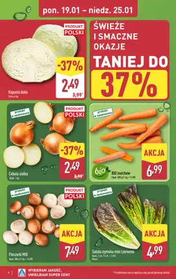 Aldi - gazetka promocyjna Pełny katalog! od poniedziałku 19.01 do niedzieli 25.01 - strona 4