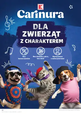 Kaufland - gazetka promocyjna Oferta Kaufland  do środy 28.01 - strona 48