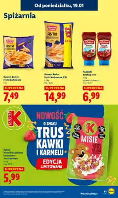 Lidl - gazetka promocyjna Oferta od poniedziałku od poniedziałku 19.01 do środy 21.01 - strona 61