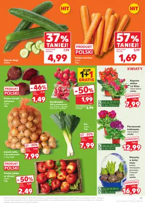 Kaufland - gazetka promocyjna Oferta Kaufland od czwartku 22.01 do środy 28.01 - strona 17