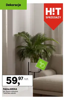 Leroy Merlin - gazetka promocyjna HITY sprzedaży od wtorku 20.01 do wtorku 27.01 - strona 2