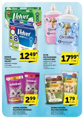 Groszek - gazetka promocyjna Gazetka Supermarket  do wtorku 03.02 - strona 29