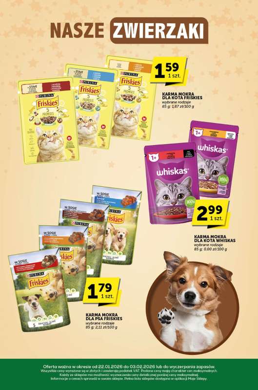 Groszek - gazetka promocyjna Katalog  do wtorku 03.02 - strona 29