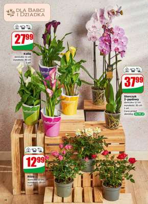 Dino - gazetka promocyjna Gazetka 04 / 2026 od środy 21.01 do wtorku 27.01 - strona 14