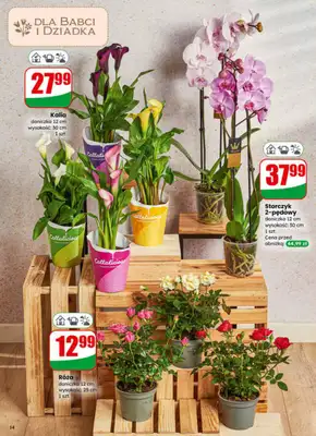 Dino - gazetka promocyjna Gazetka 04 / 2026 od środy 21.01 do wtorku 27.01 - strona 14