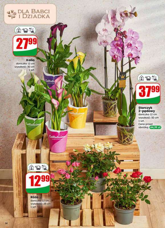 Dino - gazetka promocyjna Gazetka 04 / 2026 od środy 21.01 do wtorku 27.01 - strona 14