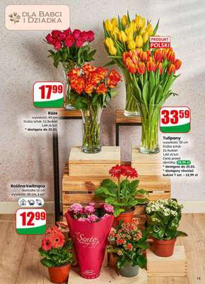 Dino - gazetka promocyjna Gazetka 04 / 2026 od środy 21.01 do wtorku 27.01 - strona 13