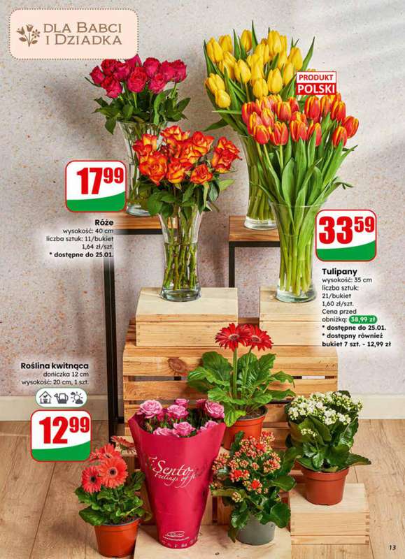 Dino - gazetka promocyjna Gazetka 04 / 2026 od środy 21.01 do wtorku 27.01 - strona 13