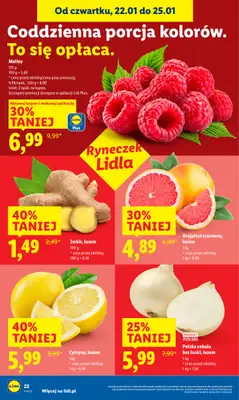 Lidl - gazetka promocyjna Oferta od czwartku od czwartku 22.01 do niedzieli 25.01 - strona 22