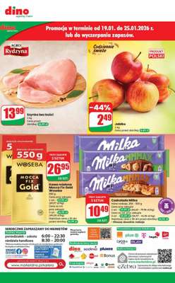 Dino - gazetka promocyjna Najlepsze promocje! od środy 21.01 do wtorku 27.01 - strona 10