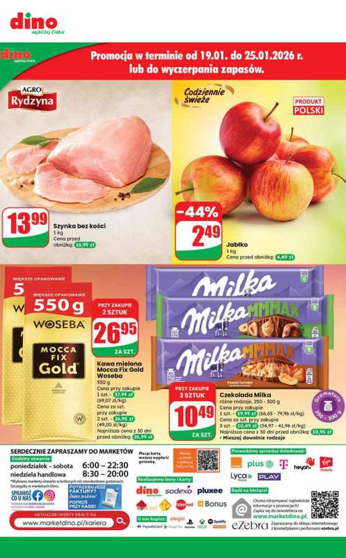 Dino - gazetka promocyjna Najlepsze promocje! od środy 21.01 do wtorku 27.01 - strona 10