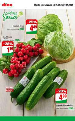 Dino - gazetka promocyjna Najlepsze promocje! od środy 21.01 do wtorku 27.01 - strona 7