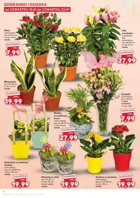 Kaufland - gazetka promocyjna Oferta Kaufland od czwartku 15.01 do środy 21.01 - strona 6
