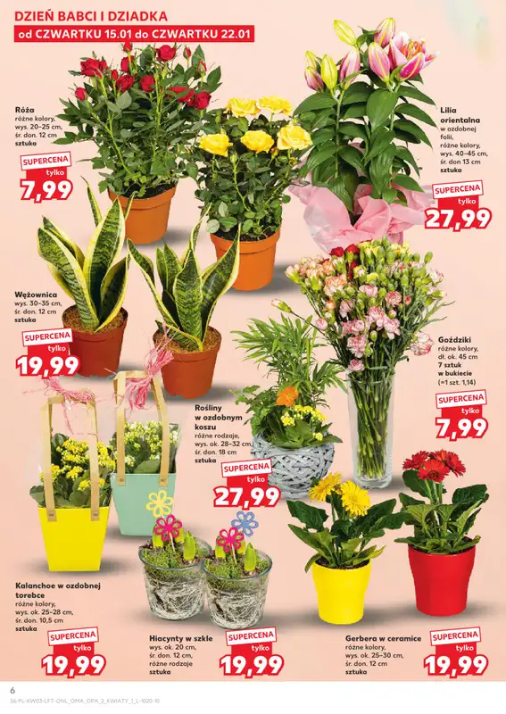 Kaufland - gazetka promocyjna Oferta Kaufland od czwartku 15.01 do środy 21.01 - strona 6