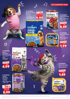 Kaufland - gazetka promocyjna Oferta Kaufland od czwartku 15.01 do środy 21.01 - strona 53
