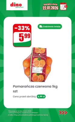 Dino - gazetka promocyjna Specjalna oferta na 22.01.2026 - promocje spoza gazetki od czwartku 22.01 do czwartku 22.01 - strona 2