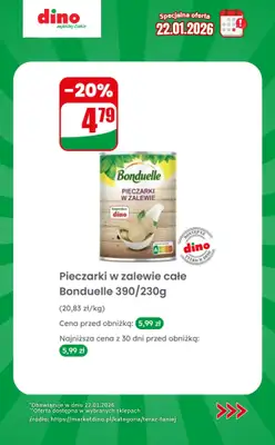 Dino - gazetka promocyjna Specjalna oferta na 22.01.2026 - promocje spoza gazetki od czwartku 22.01 do czwartku 22.01 - strona 9