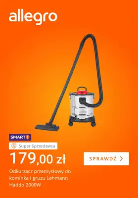 Allegro - gazetka promocyjna Zimowe obowiązki nie takie straszne od piątku 23.01 do czwartku 29.01 - strona 4