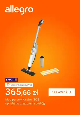 Allegro - gazetka promocyjna Zimowe obowiązki nie takie straszne od piątku 23.01 do czwartku 29.01 - strona 5