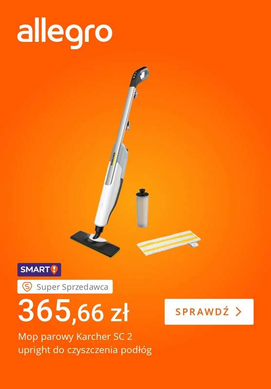 Allegro - gazetka promocyjna Zimowe obowiązki nie takie straszne od piątku 23.01 do czwartku 29.01 - strona 5